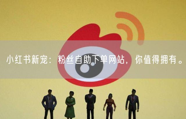 小红书新宠：粉丝自助下单网站，你值得拥有。